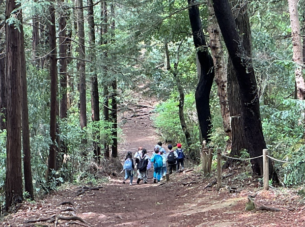 登山の様子２