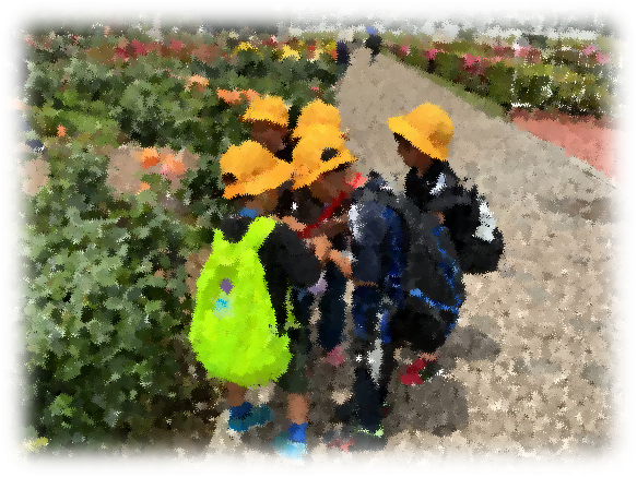 バラ園